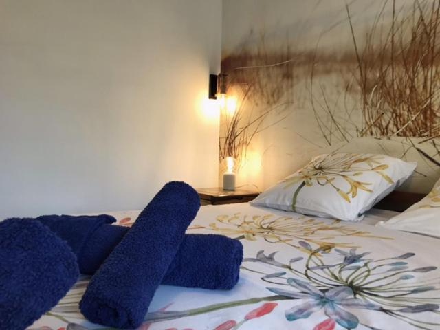 La Bastide Des Selves Bed & Breakfast 3*